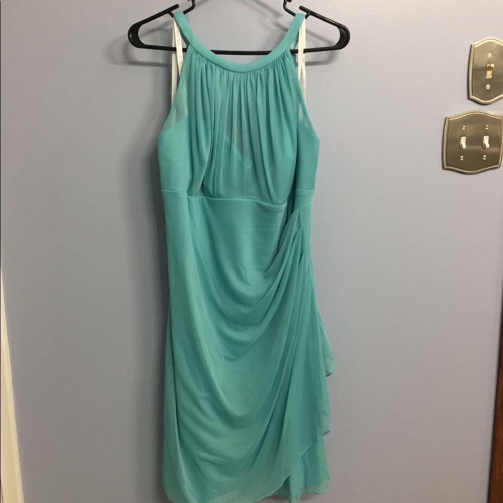 David’s Bridal Bridesmaid dress
